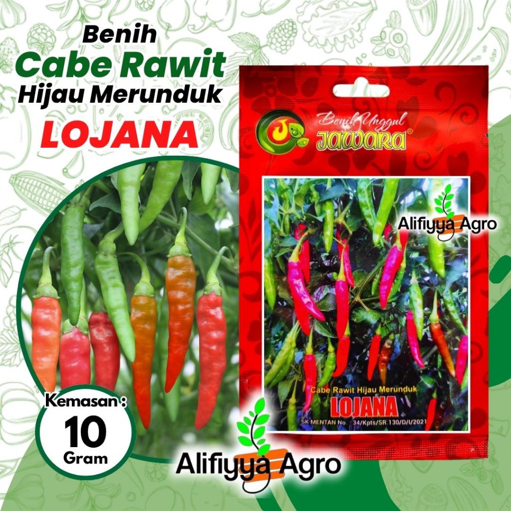 BENIH CABE RAWIT HIJAU LOJANA JAWARA ISI 10 GRAM ( +/- 2300 benih )