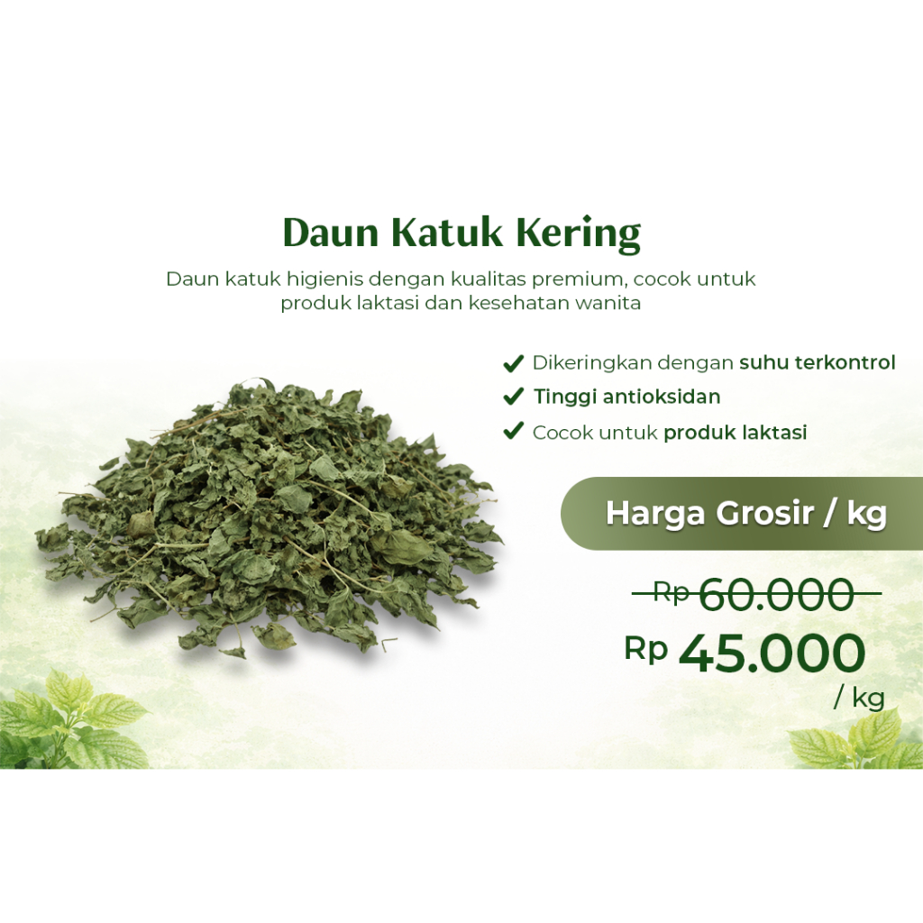 Daun Katuk Kering (Daun Murni)