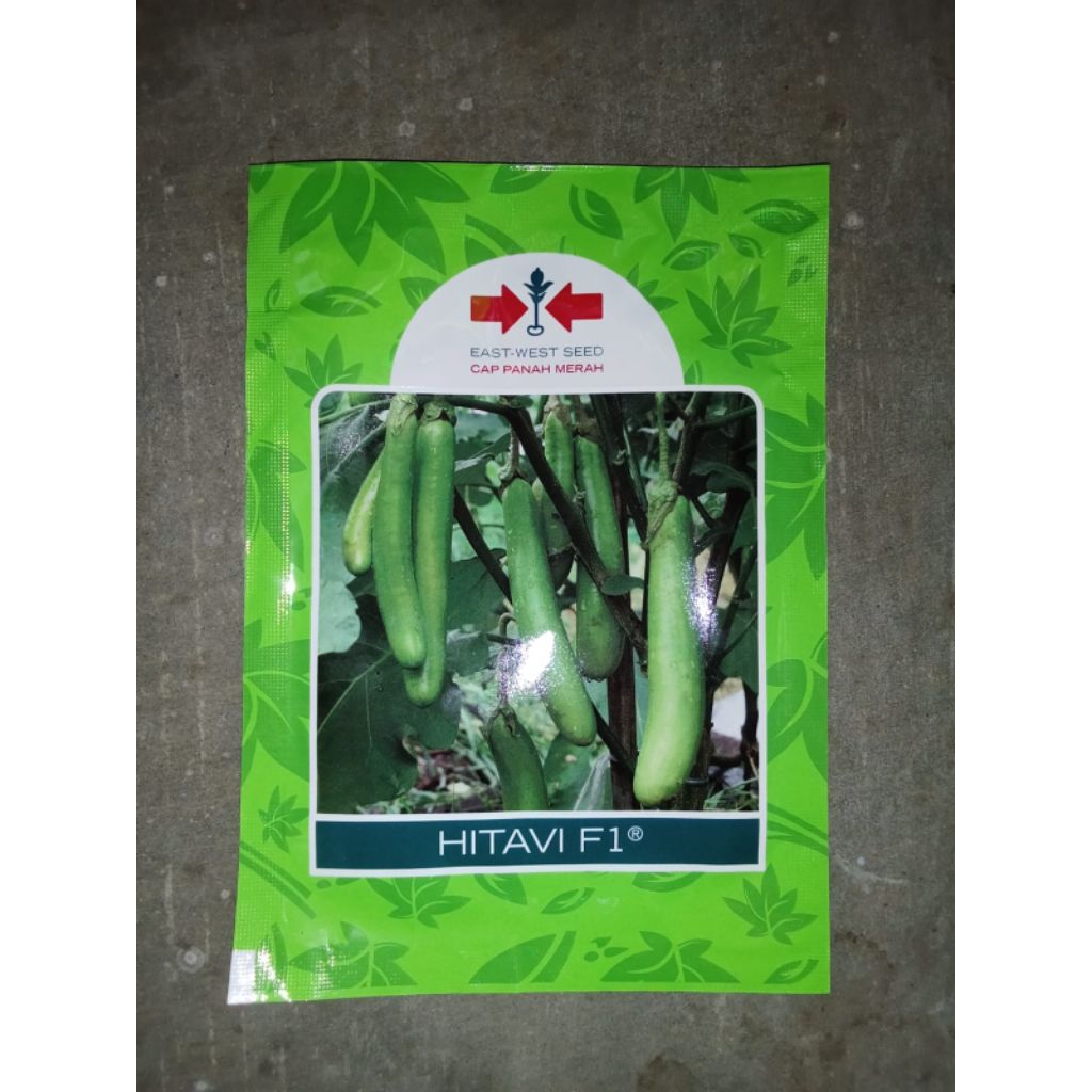 Terong Hitavi F1 Hijau Panah Merah @1.100 butir