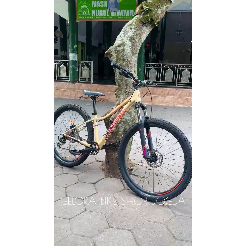 Polygon cleo 2 (Sepeda bekas)