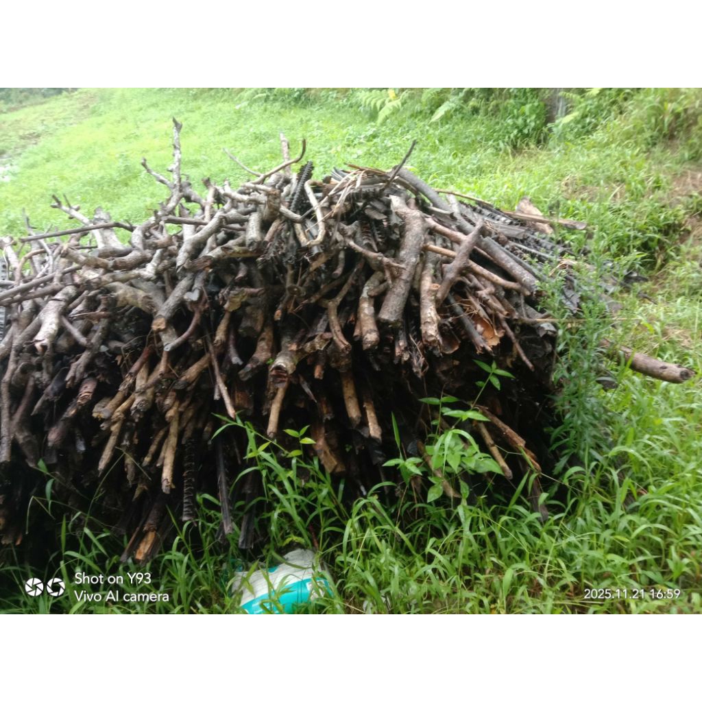 kayu bakar dari ranting kayu jati .kayu albasia.dan kayu rambutan kering untuk api unggun 1kg