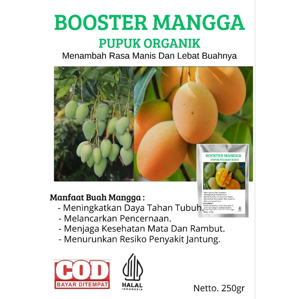 PUPUK BOOSTER MANGGA / PUPUK PERANGSANG BUAH MANGGA DAN PELEBAT BUAH