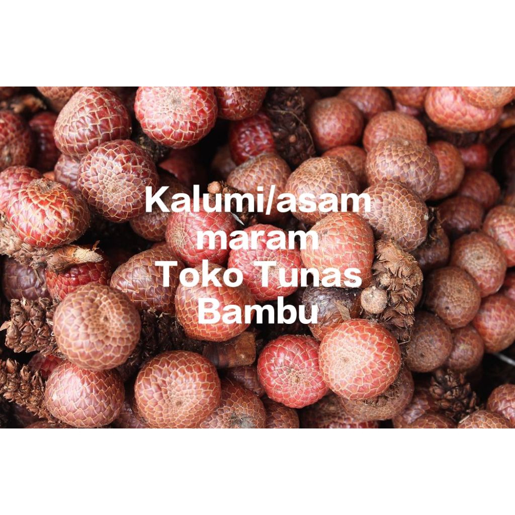 Kalumi/asam Maram Kalimantan