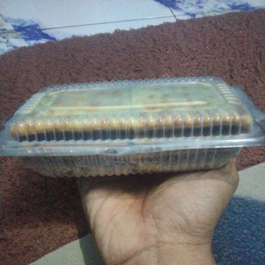 gabin frozen isi ubi ungu