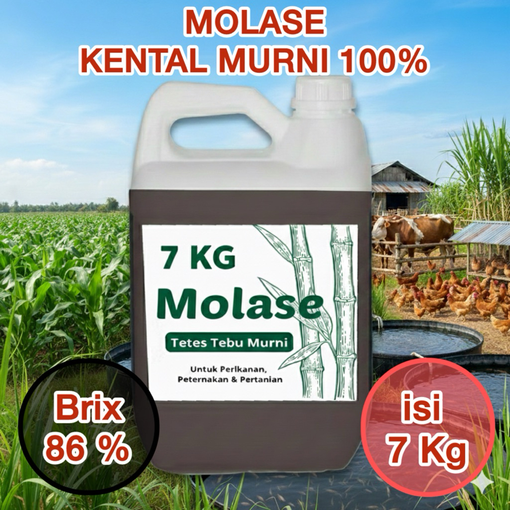 Molase Murni 100% Kemasan 7 kg - Tetes Tebu Tanpa Campuran Air - Pakan Ternak, Perikanan & Fermentas