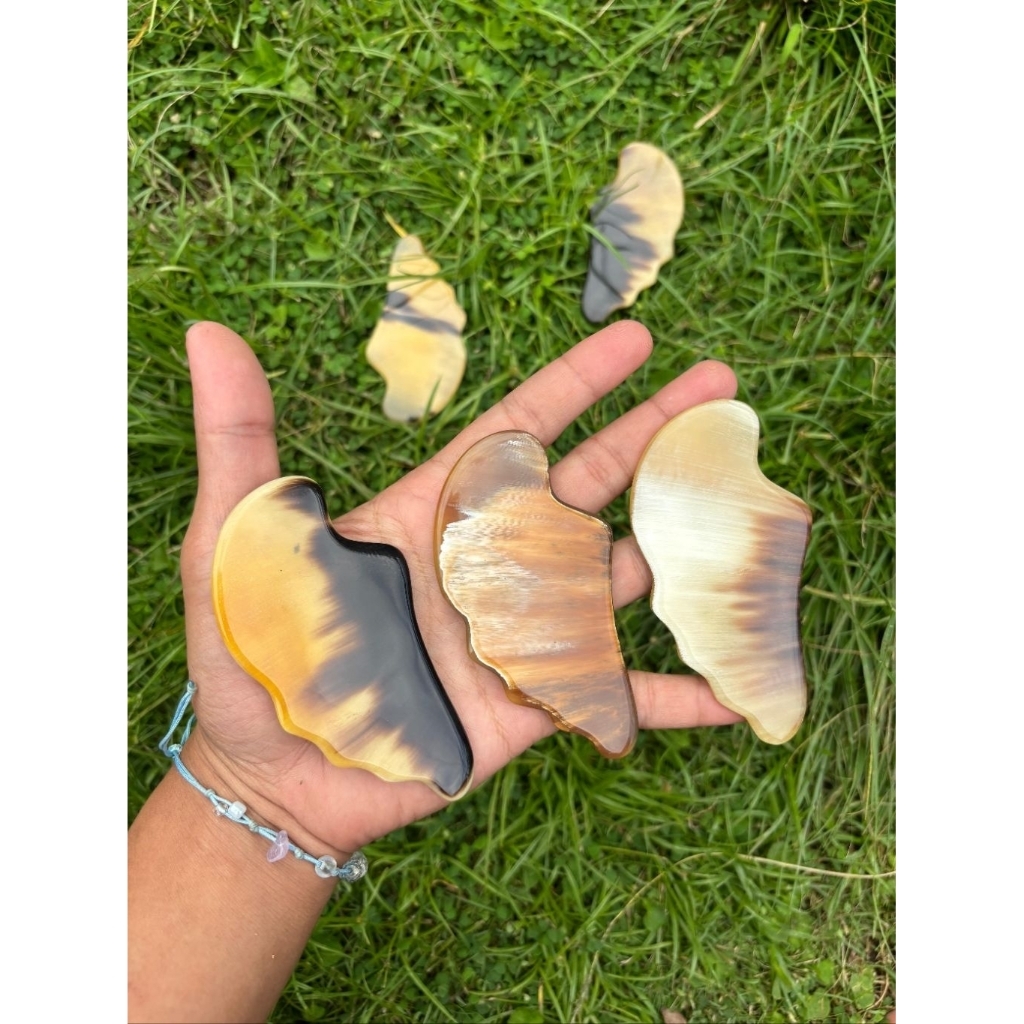 alat terapi guasha facial asli tanduk sapi