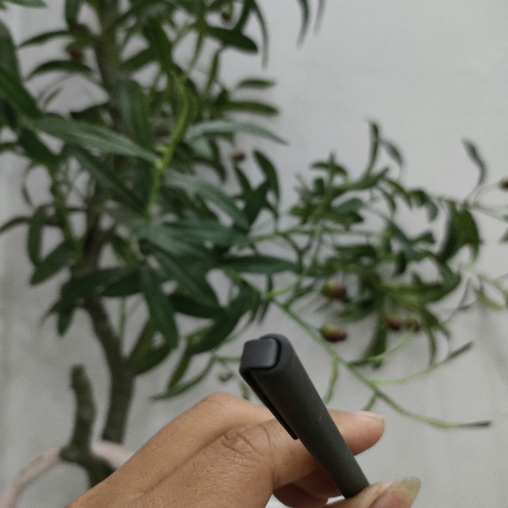 stylus s pen tab S3 Bekas original copotan