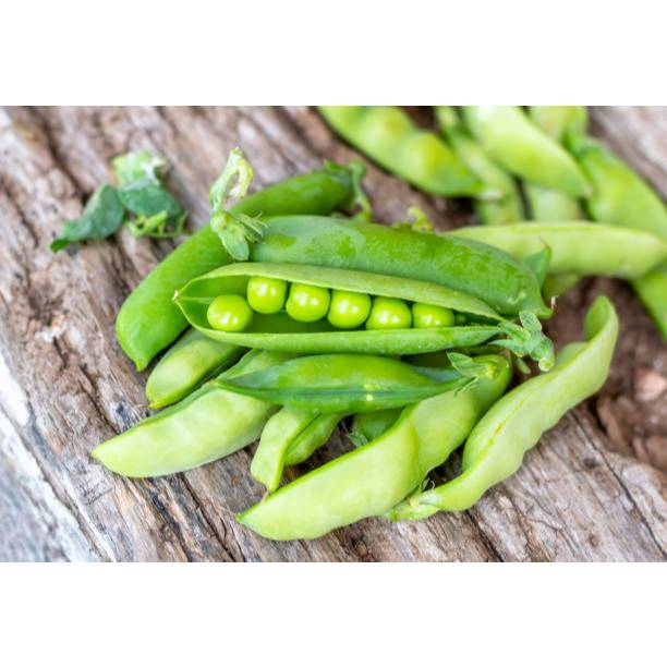 PAKET HEMAT BENIH KACANG POLONG