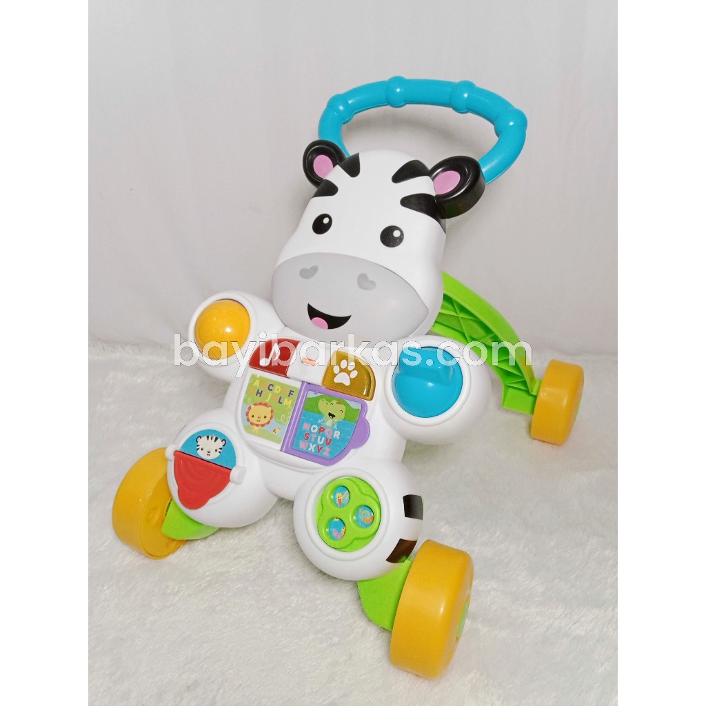 Push Walker FISHER PRICE (SECOND LIKE NEW)