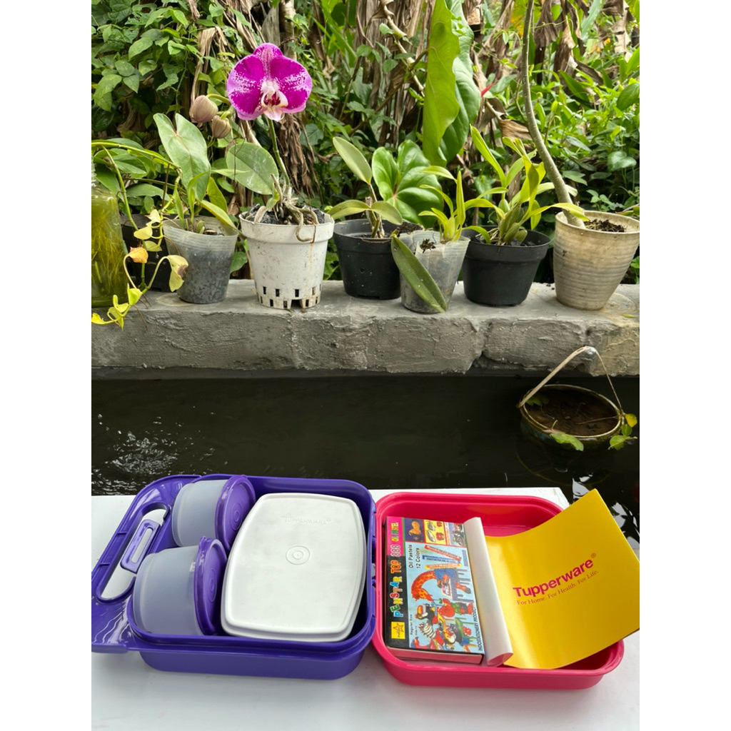 Tupperware baru. Satu set bekal makan tiwi. Bekal makan anak koper.