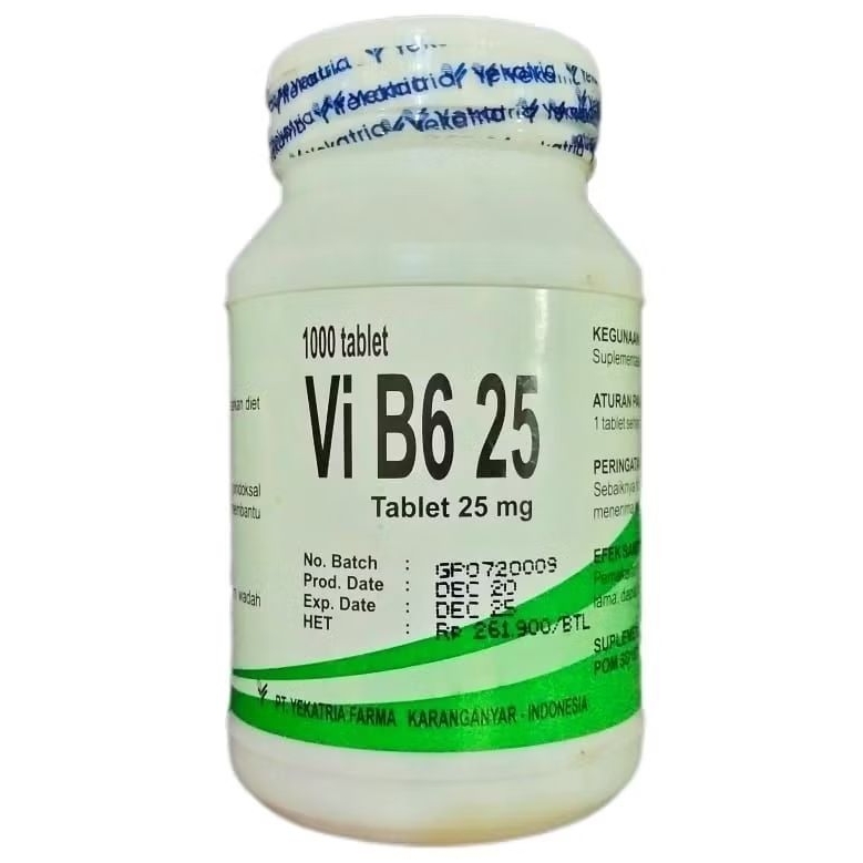 VI B6 25 - Vitamin B6 Tablet 25mg (1000's /Botol)