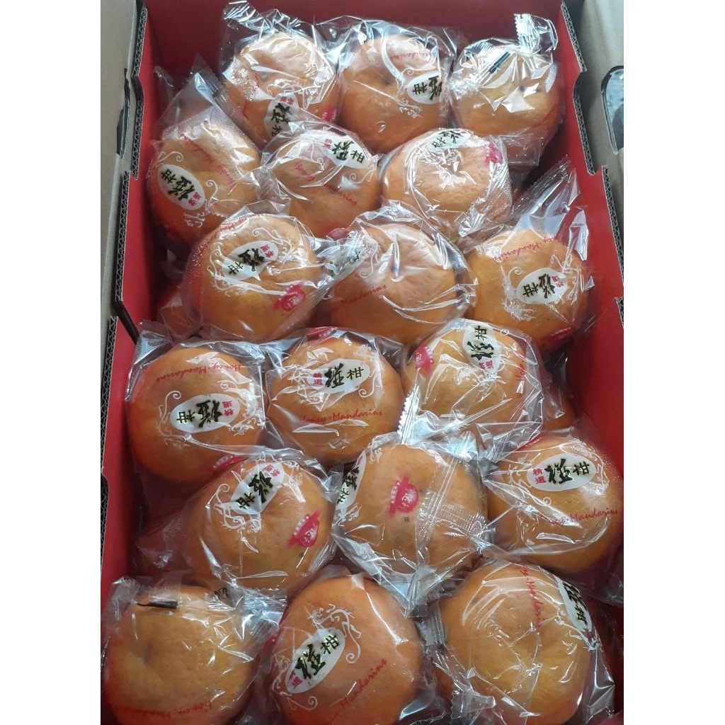 Indukbuah Buah Jeruk Ponkam Manis 1 Dus
