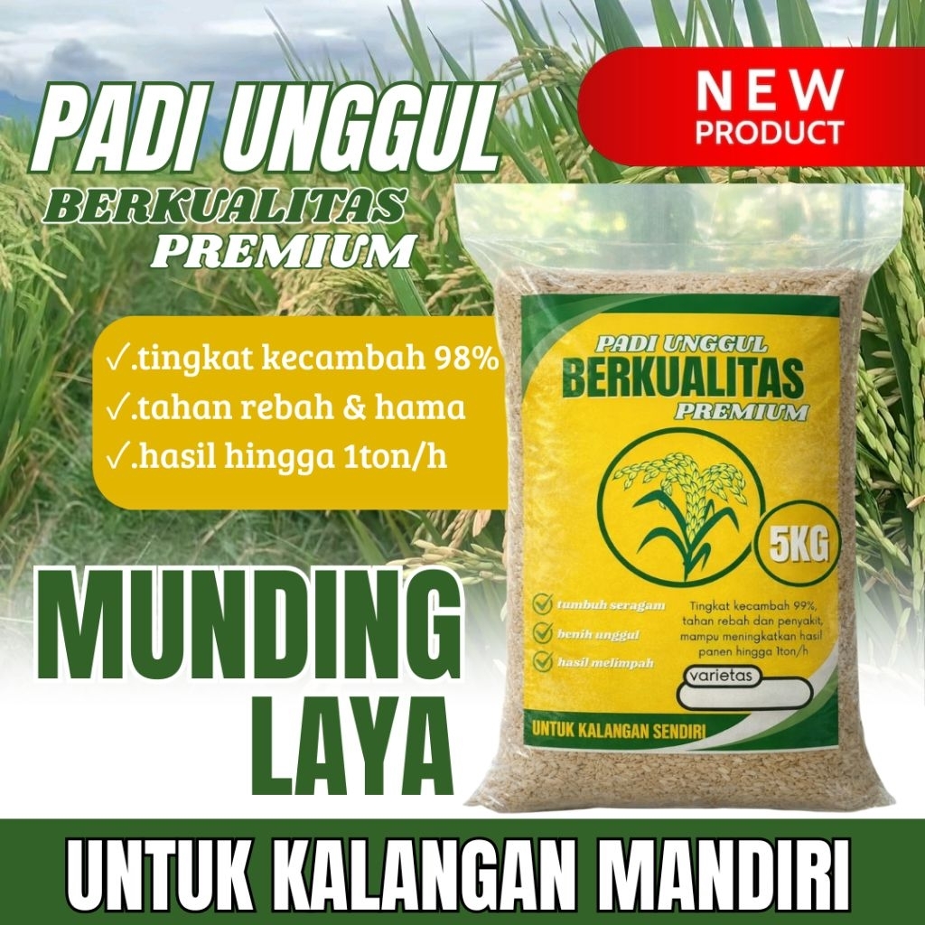 BENIH PADI UNGGUL MUNDING LAYA ORIGINAL 5KG PREMIUM QUALITY