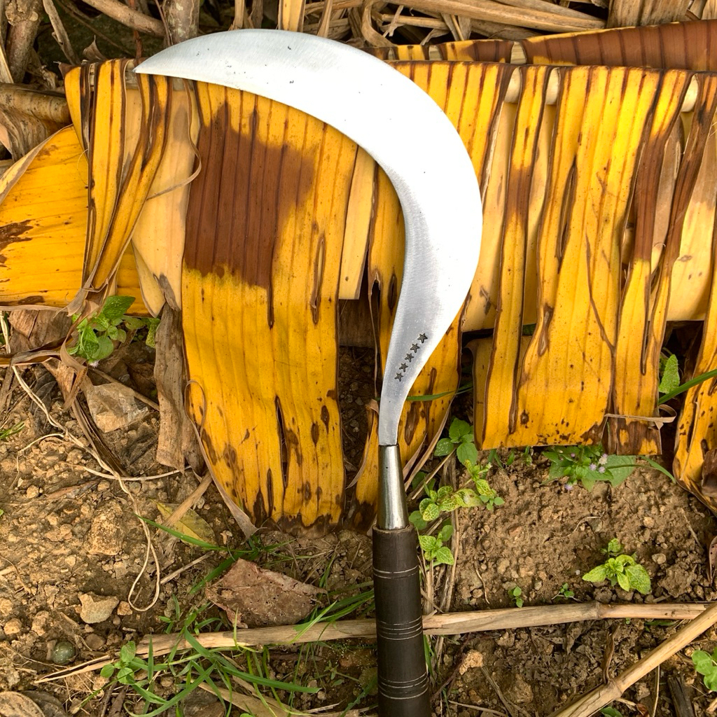 alat berkebun aret rumput multifungsi asli baja per khas Madura