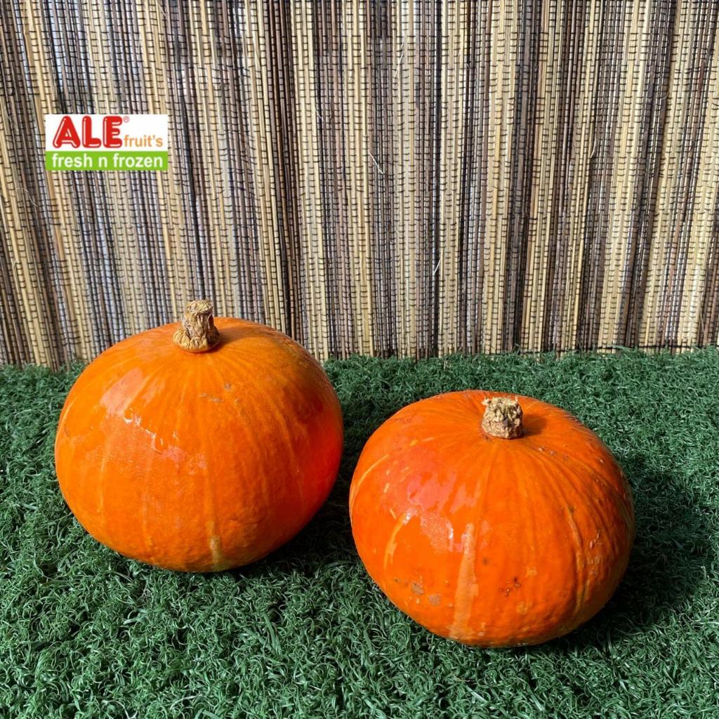 Kabocha kuning fresh, labu kabocha jepang, labu kabocha kuning