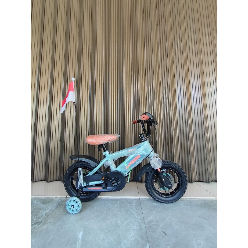 BMX 12 16 18 NEW PHOENIX 2203-2
