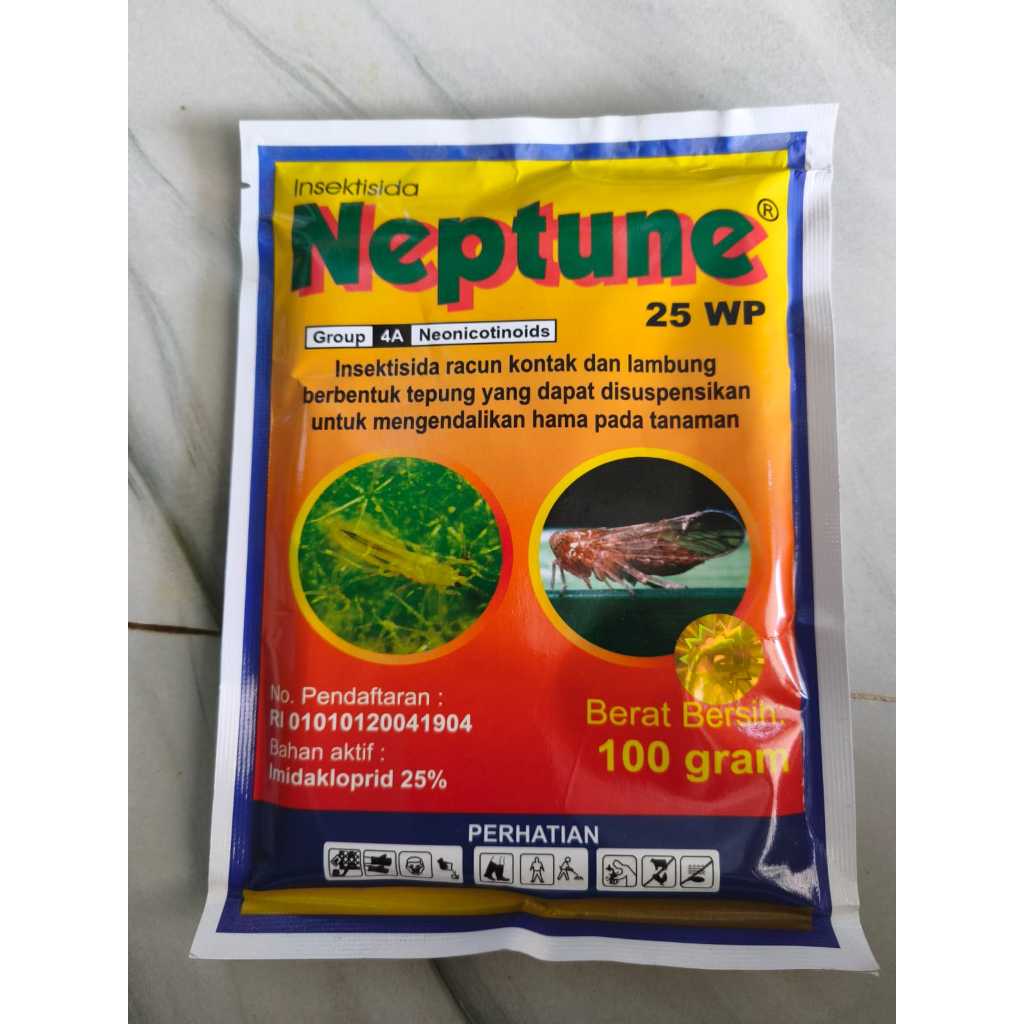 insektisida Neptune 25WP 100gr efektif hama kutu penghisap dan walang sangit