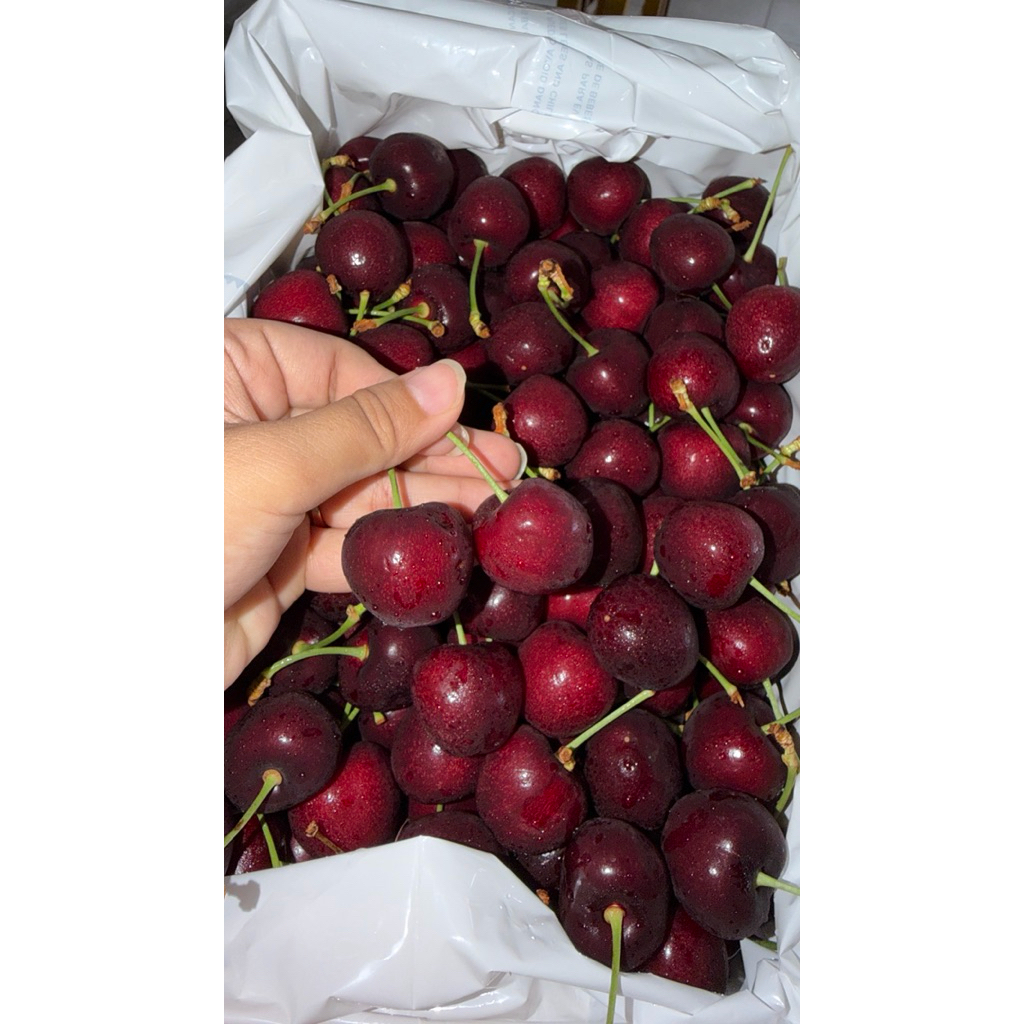 CHERRY TASMANIAN