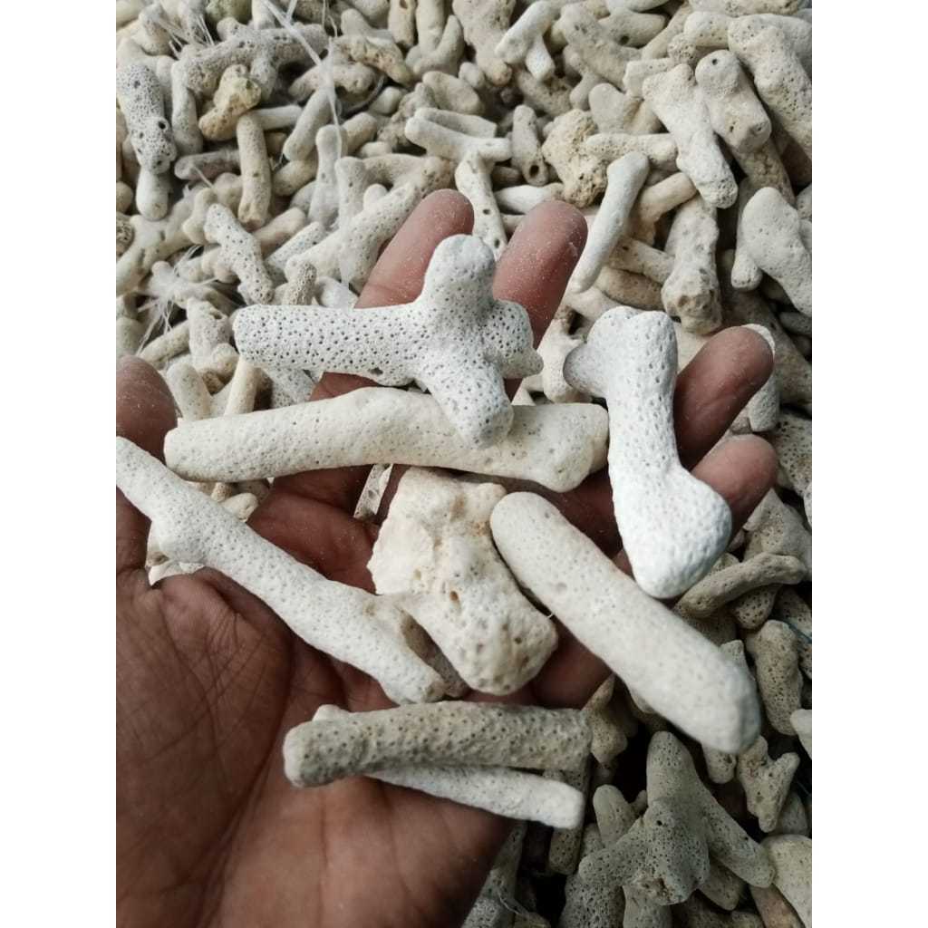karang jahe plus waring 1kg / karang jahe / karang jahe media filter
