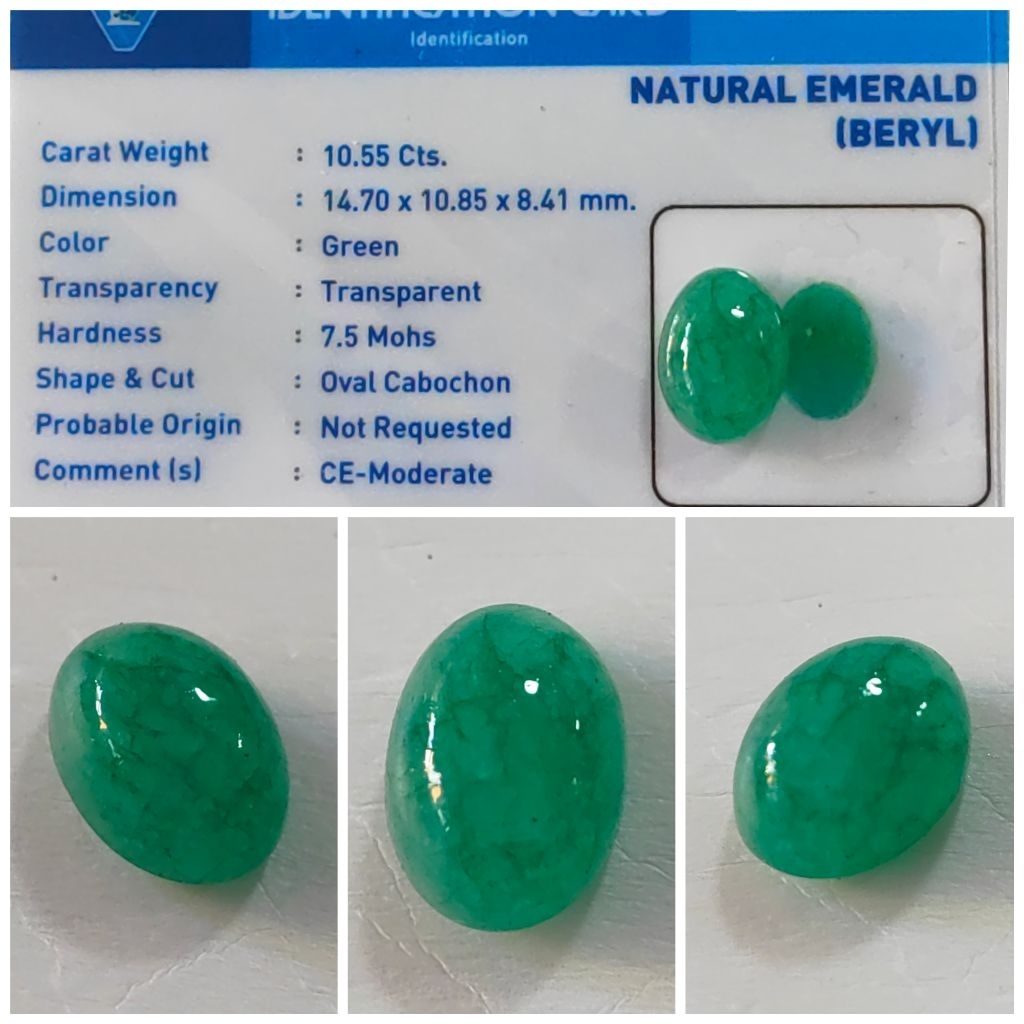 Original Natural Batu Zamrud Colombia Plus Memo Acc Gems Lab Big Size Top Quality Murmer