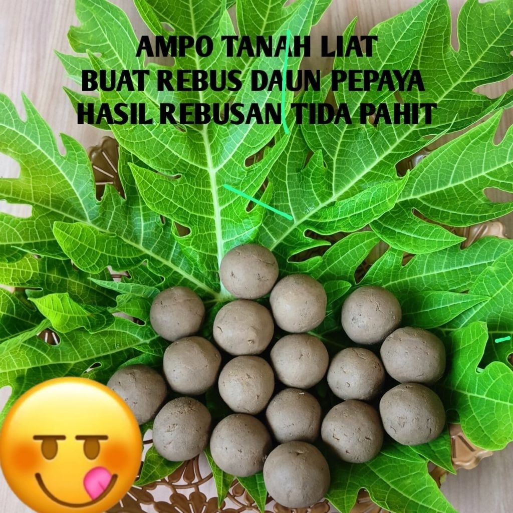 ampo tanah lempung buat tebus pepaya