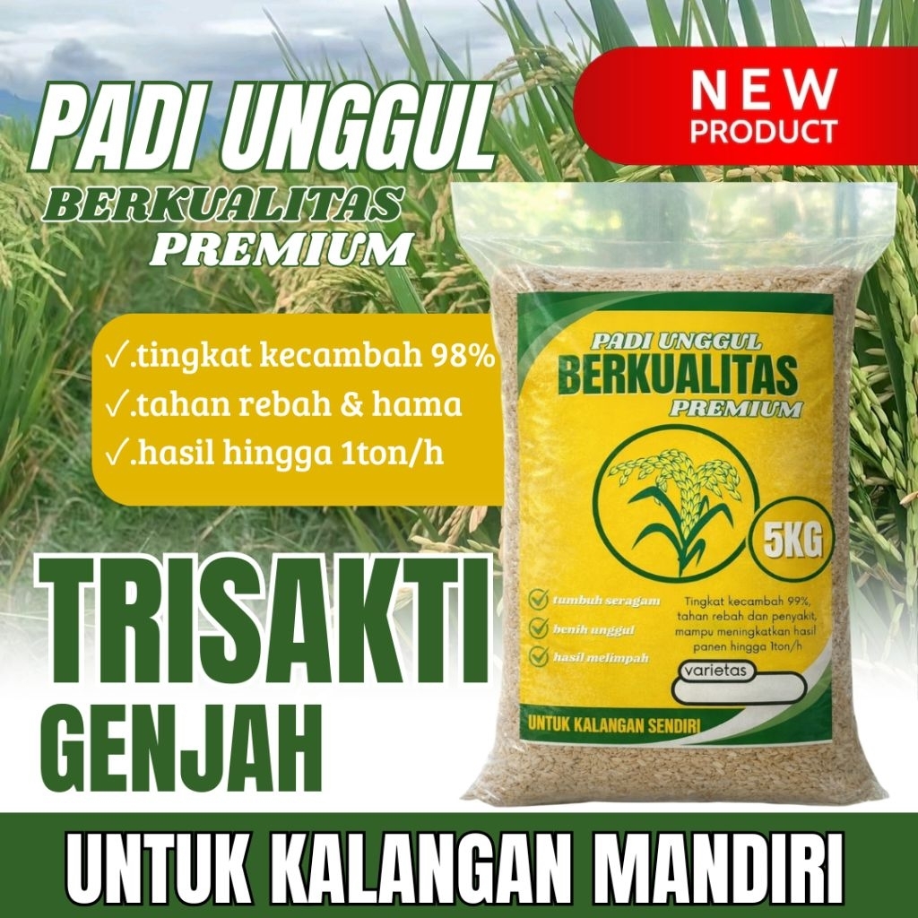 Benih padi unggul TRISAKTI GENJAH original 5kg premium quality