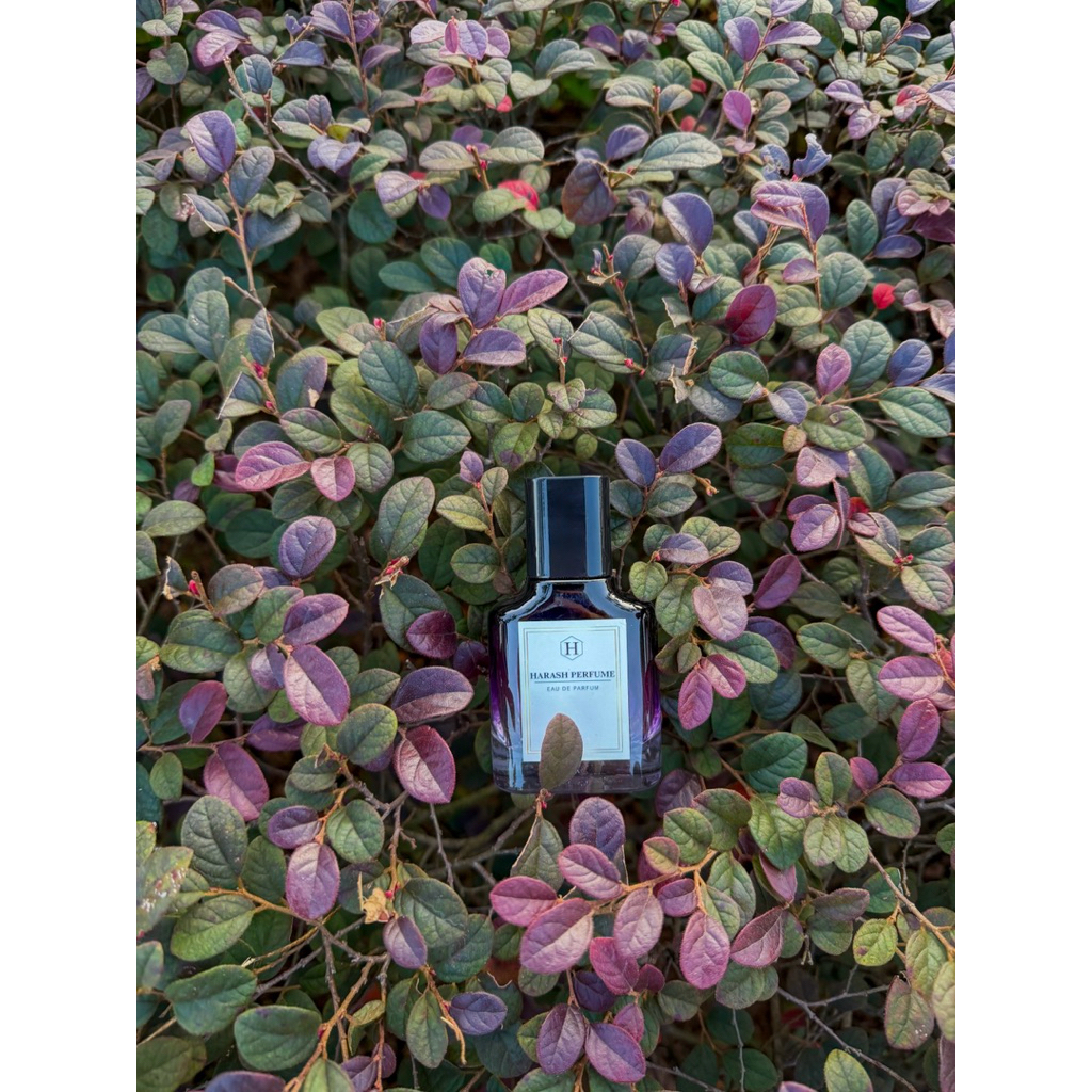 One Direction Our Moment Women Inspired Parfum Mewah