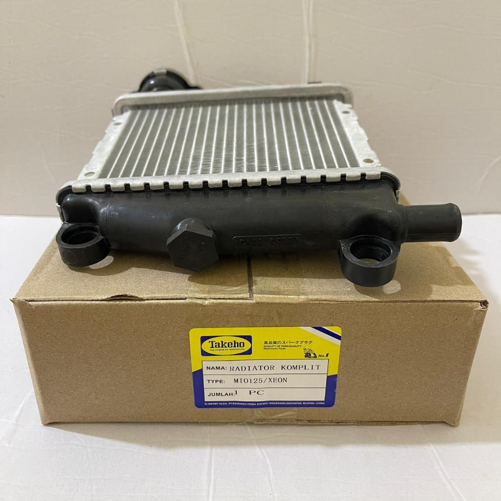 RADIATOR ASSY XEON/MIO 125 (1PN-E2460-00) (TAKEHO)