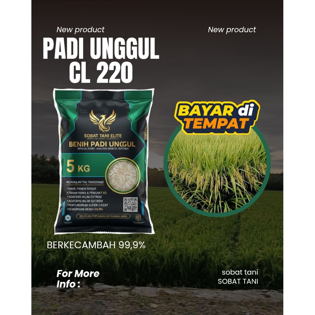 BENIH PADI UNGGUL, SERTANI 14, Inpari 32, Malai jumbo, hs 98,pmj 02, cianjur, CL 220, kemasan 5kg be