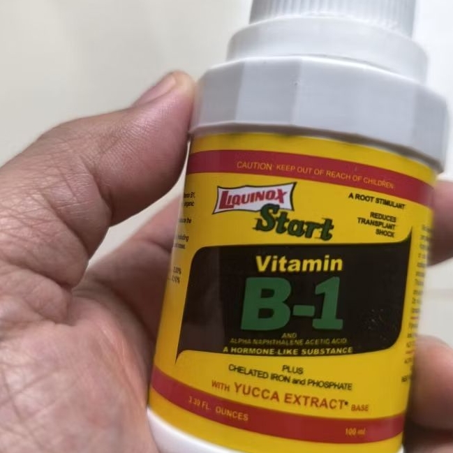 Vitamin B1 Untuk Tanaman