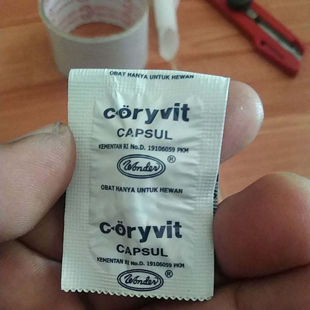 Coryvit Capsul