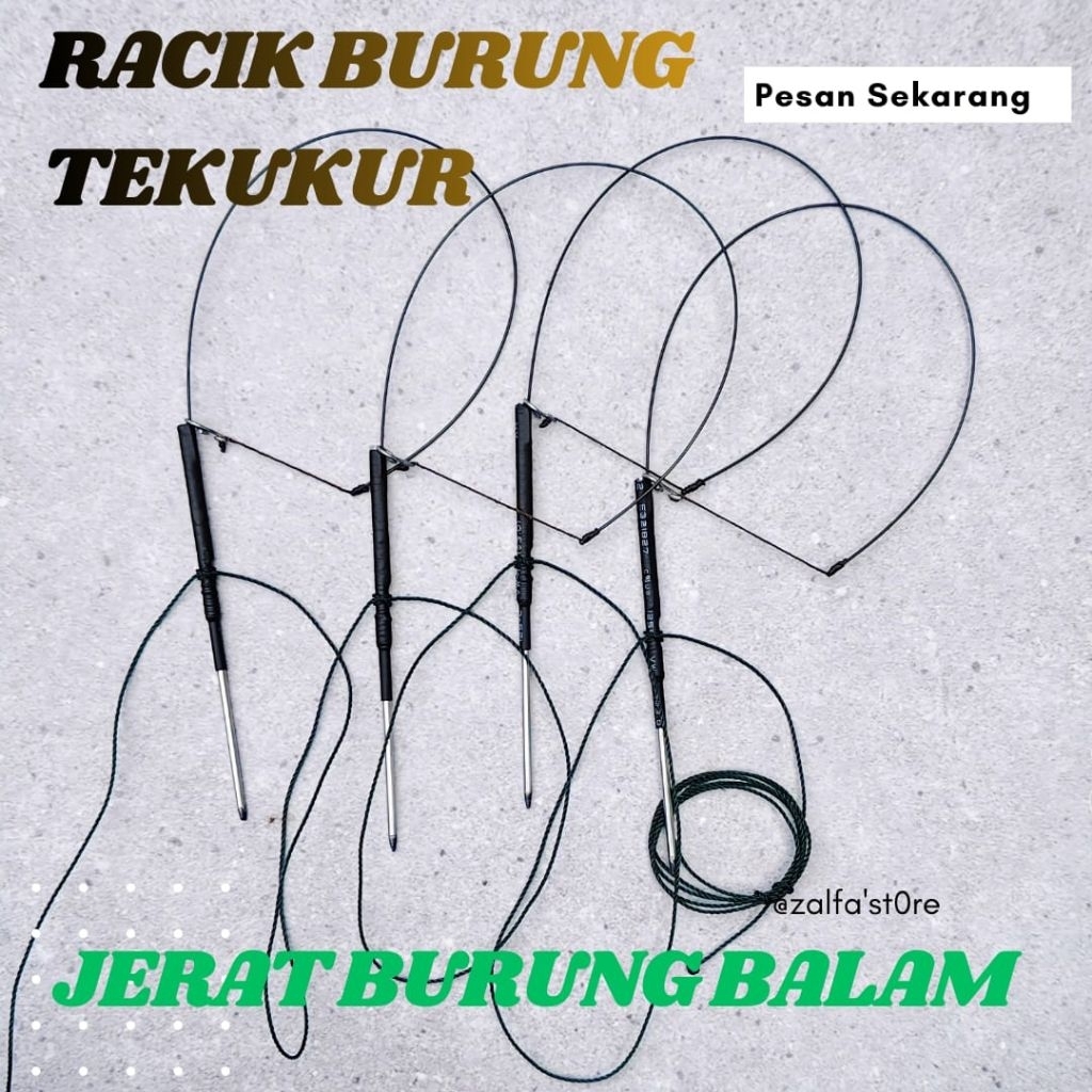 Racik balam jerat tekukur 1 ikat isi 21 tiang jerat perkutut burung walik/punai juga bisa