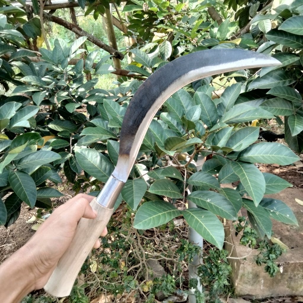 arit ranting arit ramban arit rombes bahan baja per gagang anti copot