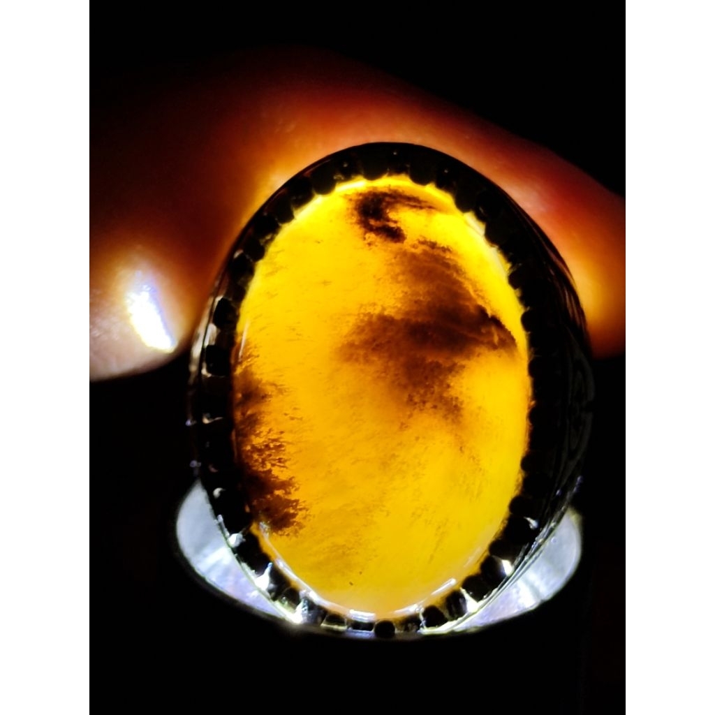 Natural Cendana Petrified Wood, CRYSTAL / Batu Fosil Kayu Cendana, KRISTAL, 1