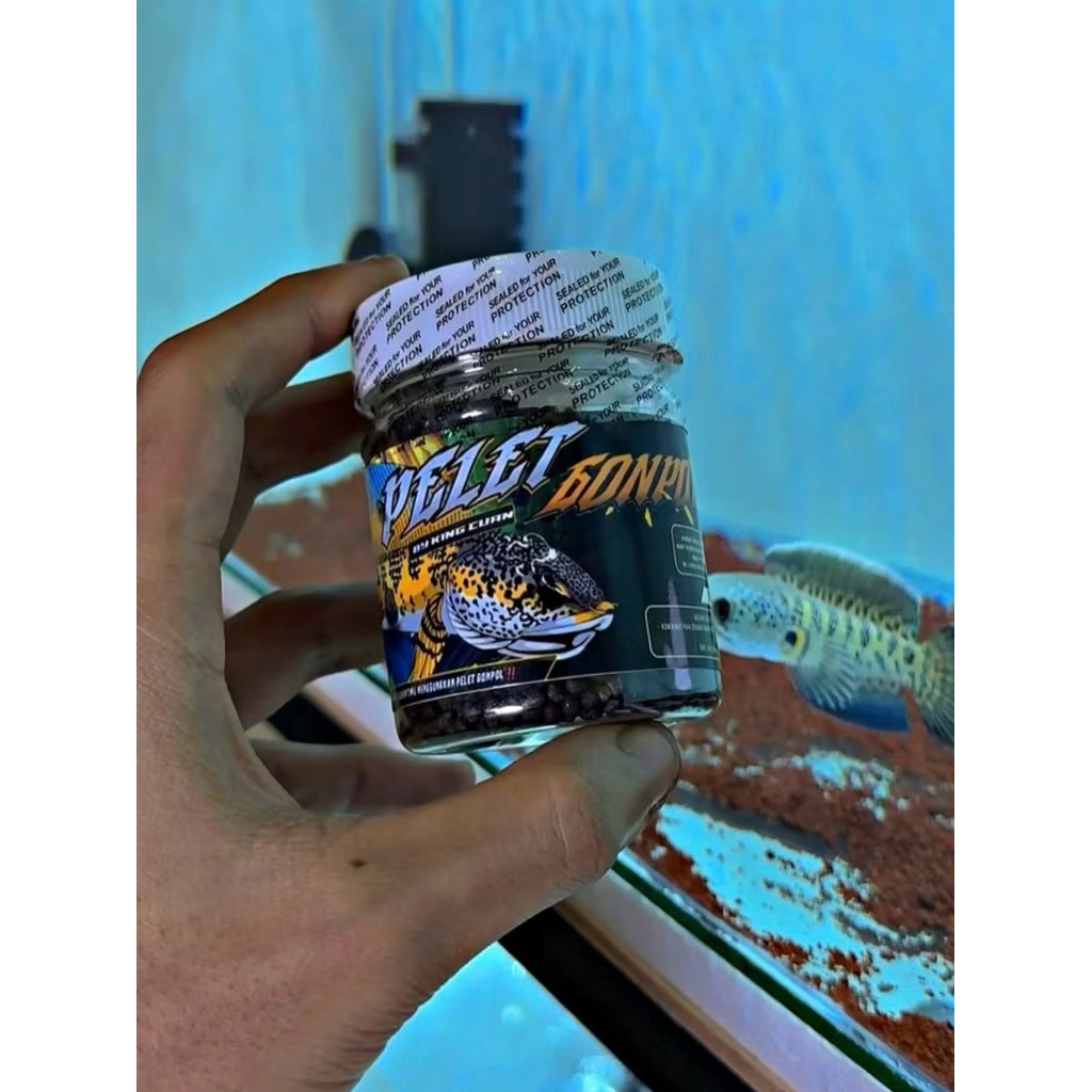 PELET GONPOL Premium Pelet Progres Gondrong Polos Makanan Ikan Predator Pakan Channa Auranti