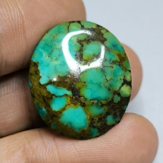 Pirus Persia Hijau Gradasi