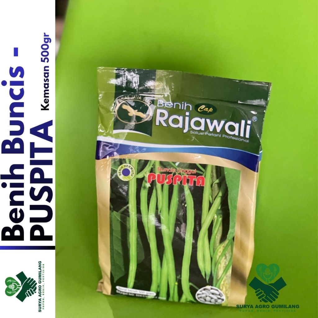 Benih Buncis PUSPITA kemasan 500gr | Benih Buncis | Benih-Bibit Buncis