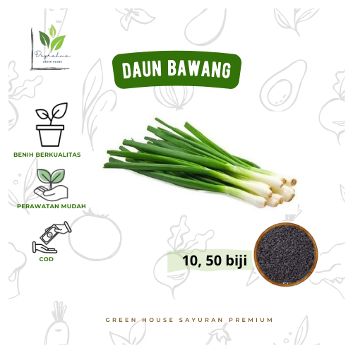 Benih Daun Bawang BLAZE F1