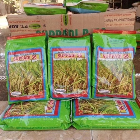 Benih Padi Supadi SUPPADI 56 Hibrida F1 Original Agrosid