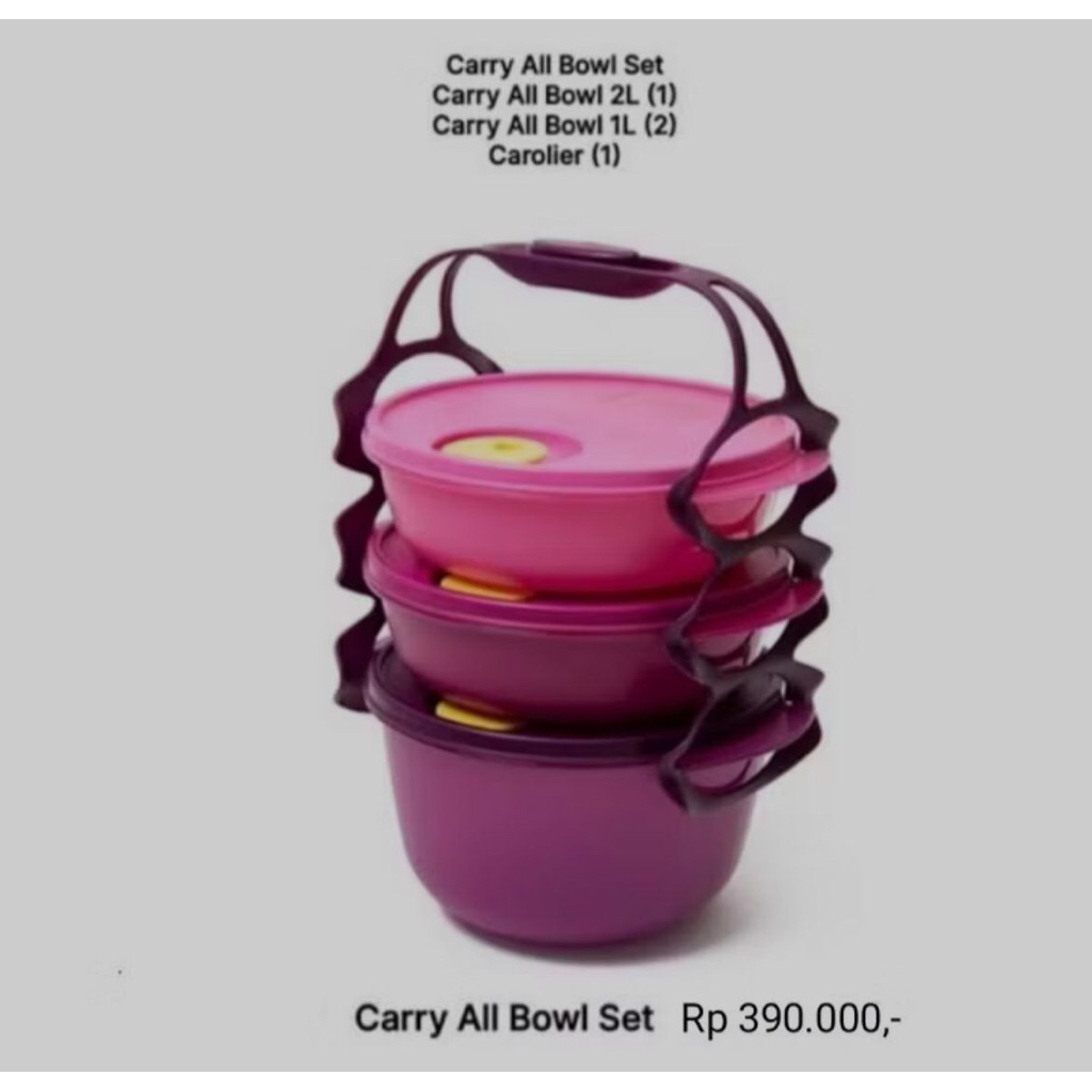 Rantang  carry all bowl set tupperware