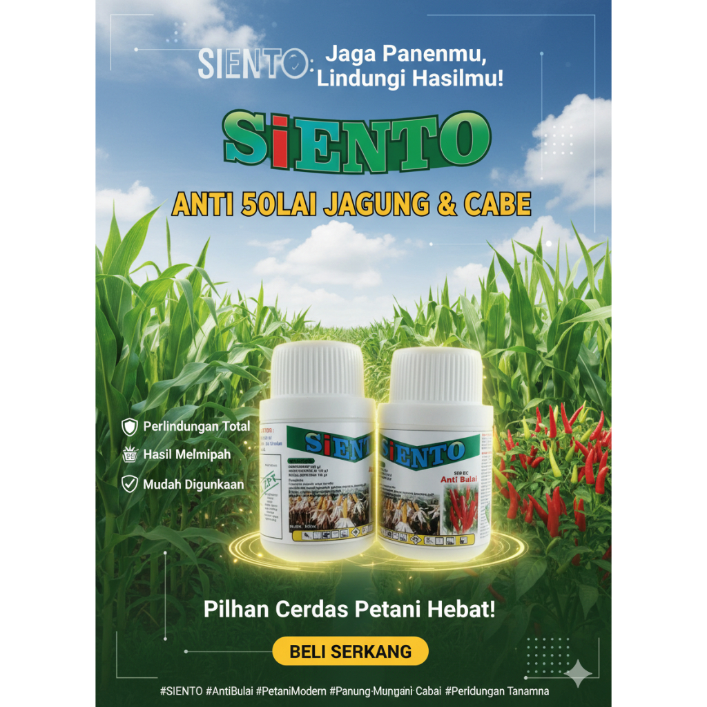 SIENTO 50 ML | ANTI BULAI JAGUNG DAN CABE | OBAT BULAI JAGUNG DAN CABE | FUNGISIDA JAGUNG DAN CABE