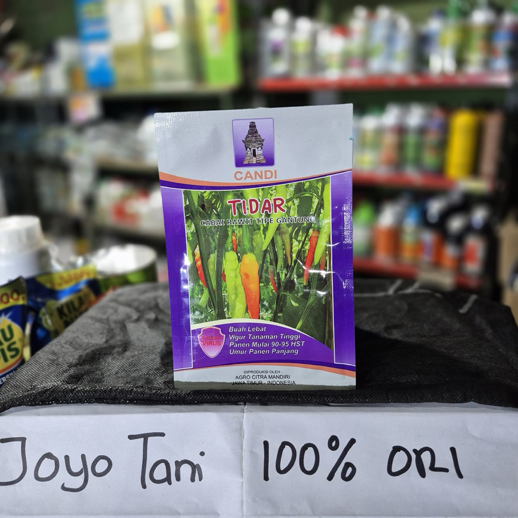 Benih Candi TIDAR CABAI RAWIT TIPE GANTUNG 10gr