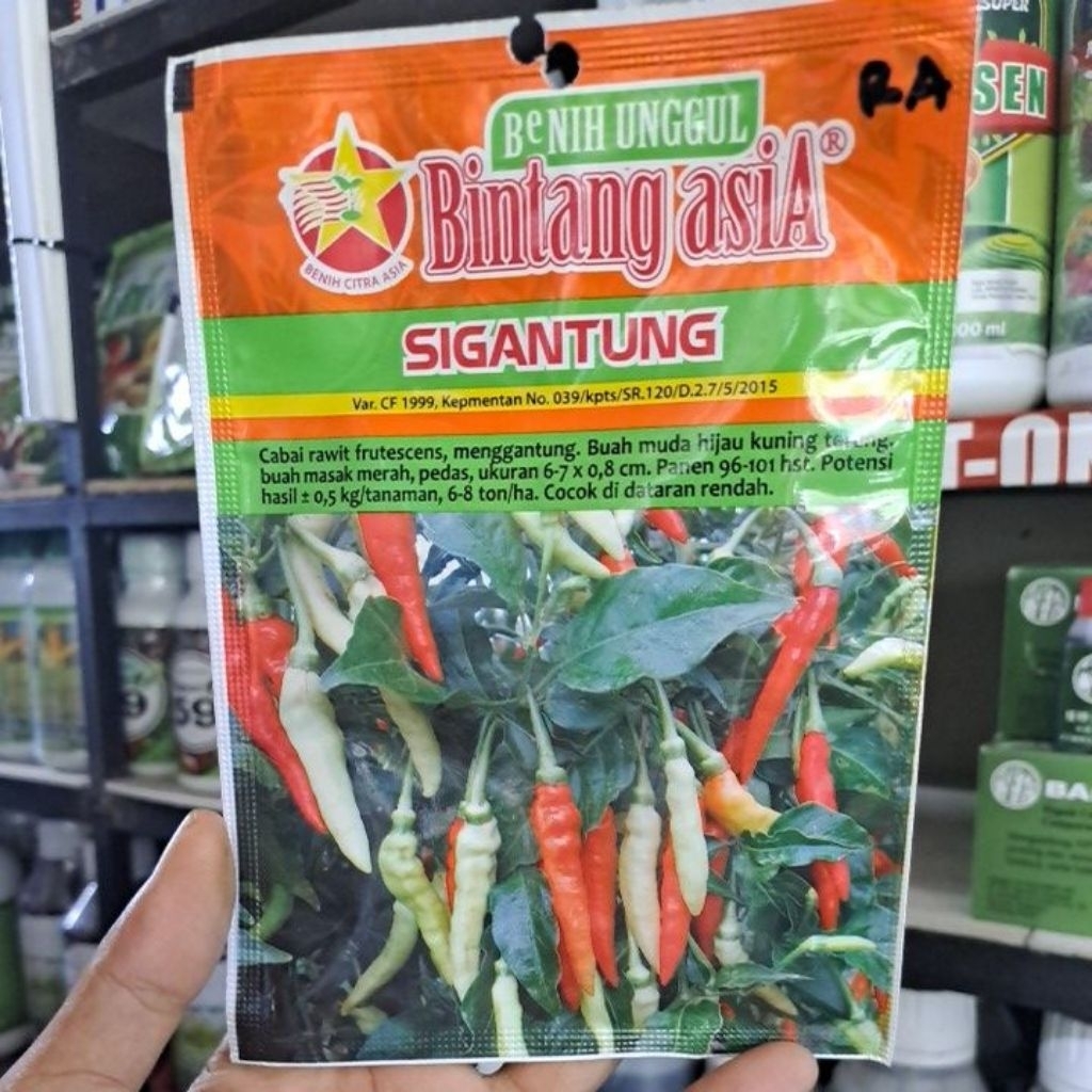 Benih Cabe rawit Sigantung 10gr Sigantung bintang asia