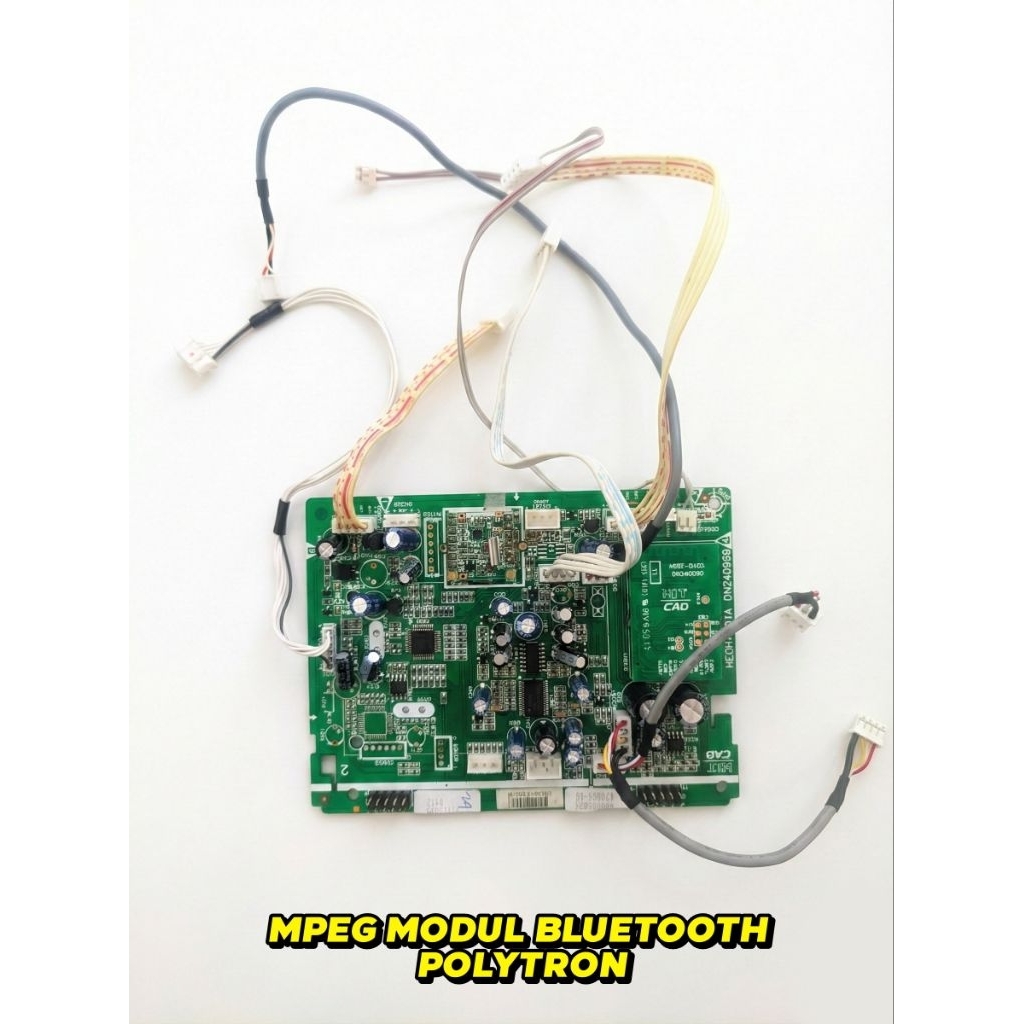 MODUL MPEG BLUETOOTH POLYTRON