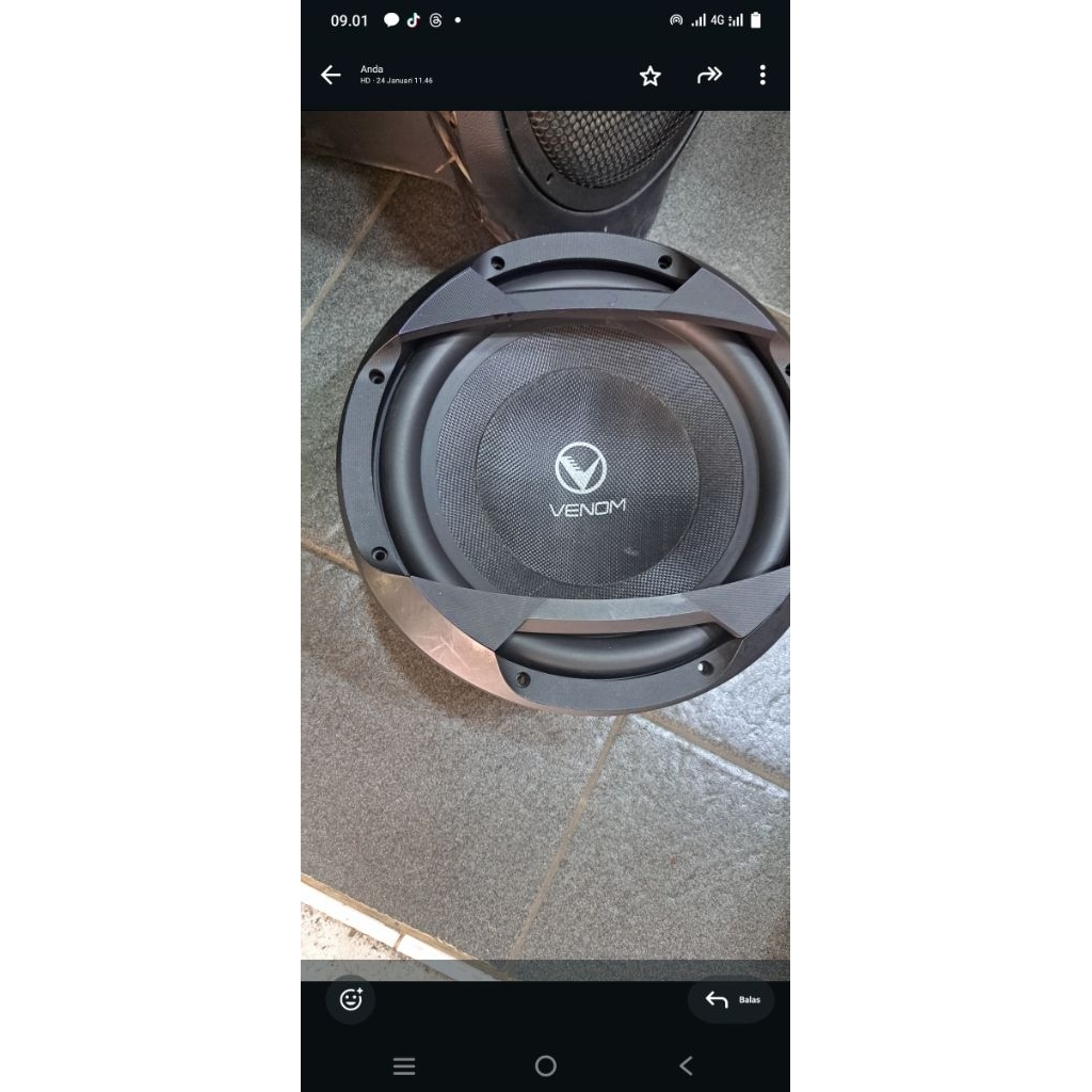 subwoofer venom 12 in