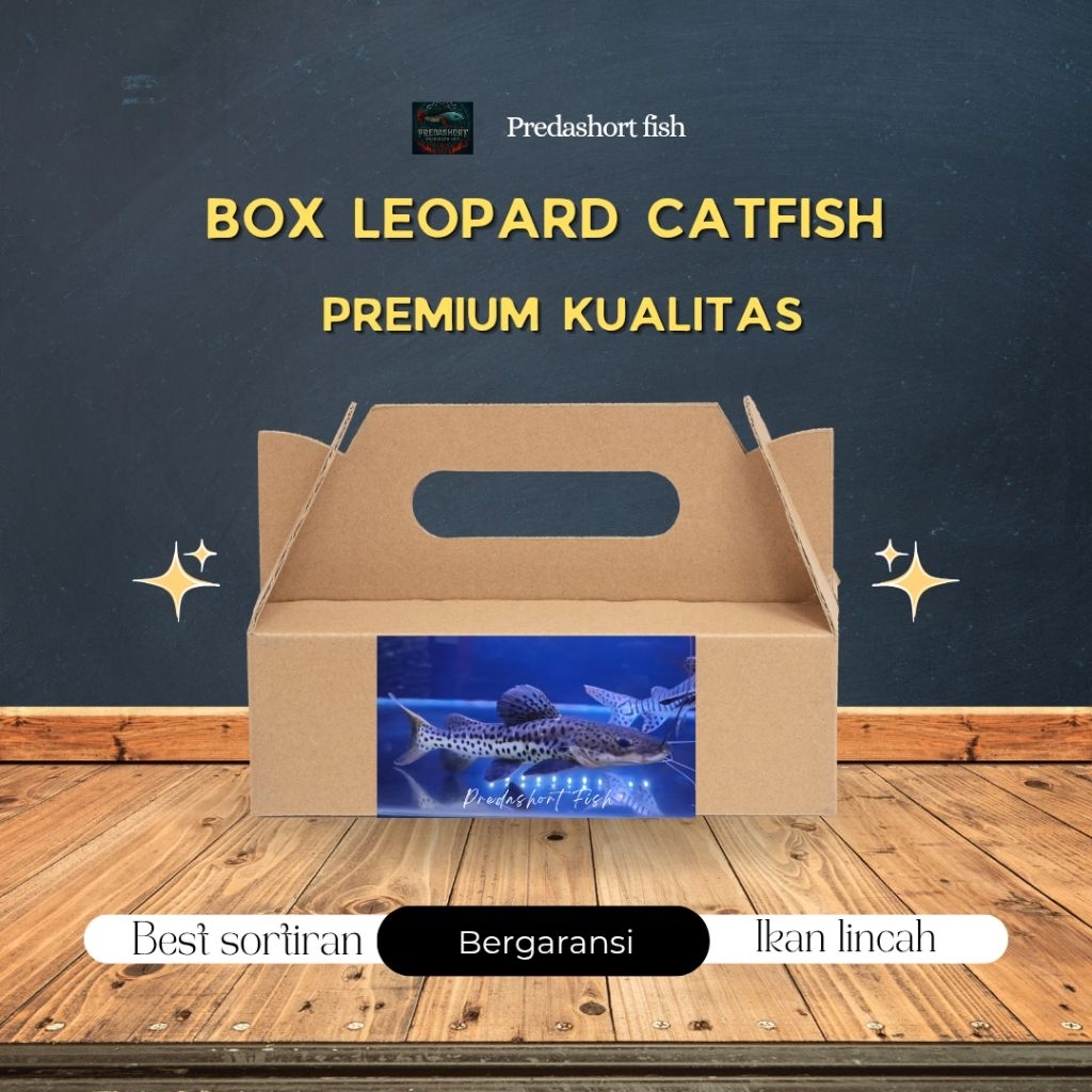 BOX kardus isi leopard catfish