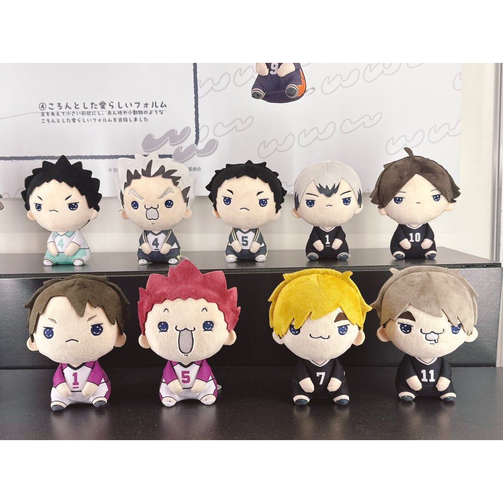Haikyuu Mochipiko Plush Toy