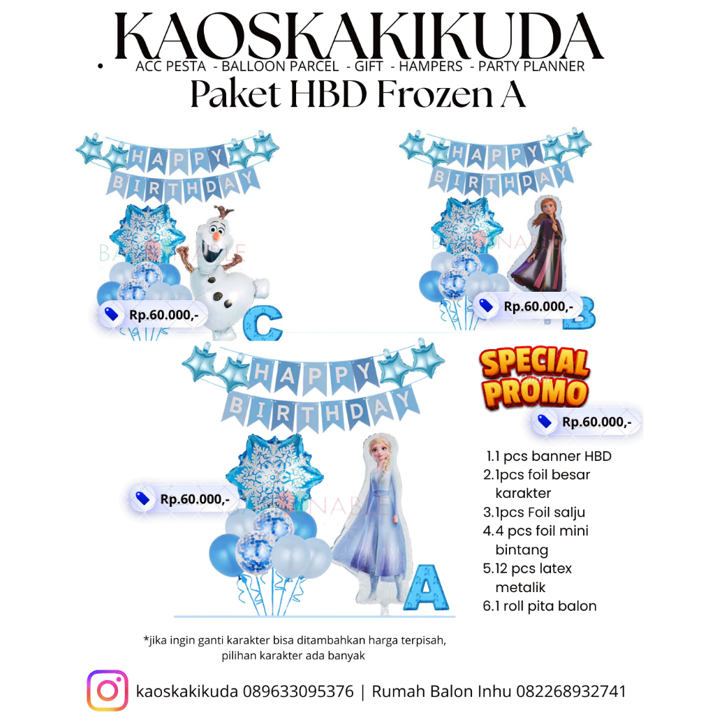 Paket Dekorasi Ulang Tahun Frozen
