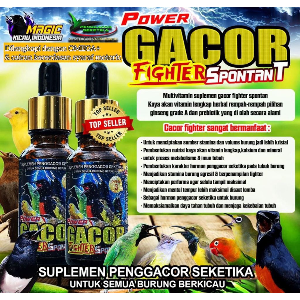power gacor fighter spontan