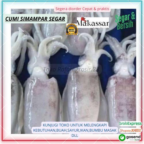 Cumi Simampar Fresh Makassar,cumi simampara,cumi simampar,cumi segar, cumi laut segar  cumi fresh  c